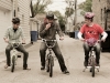 pink-monkey-18